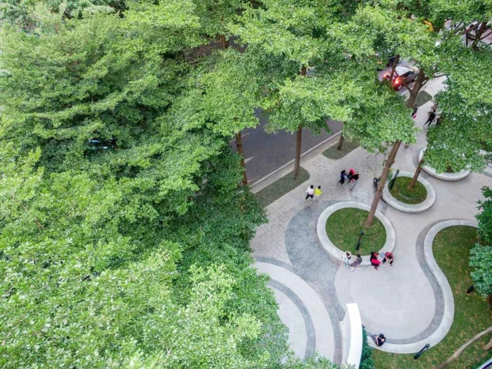 1672296738586069.jpg 1672296738586069.jpg