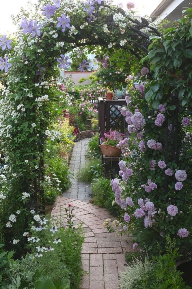 1681112004686305.jpg 1681112004686305.jpg