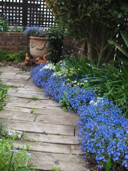 1681112094216221.jpg 1681112094216221.jpg