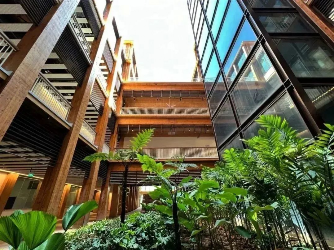 1688348401579133.jpg 1688348401579133.jpg